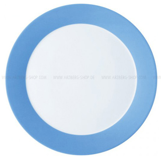 plate flat 27cm